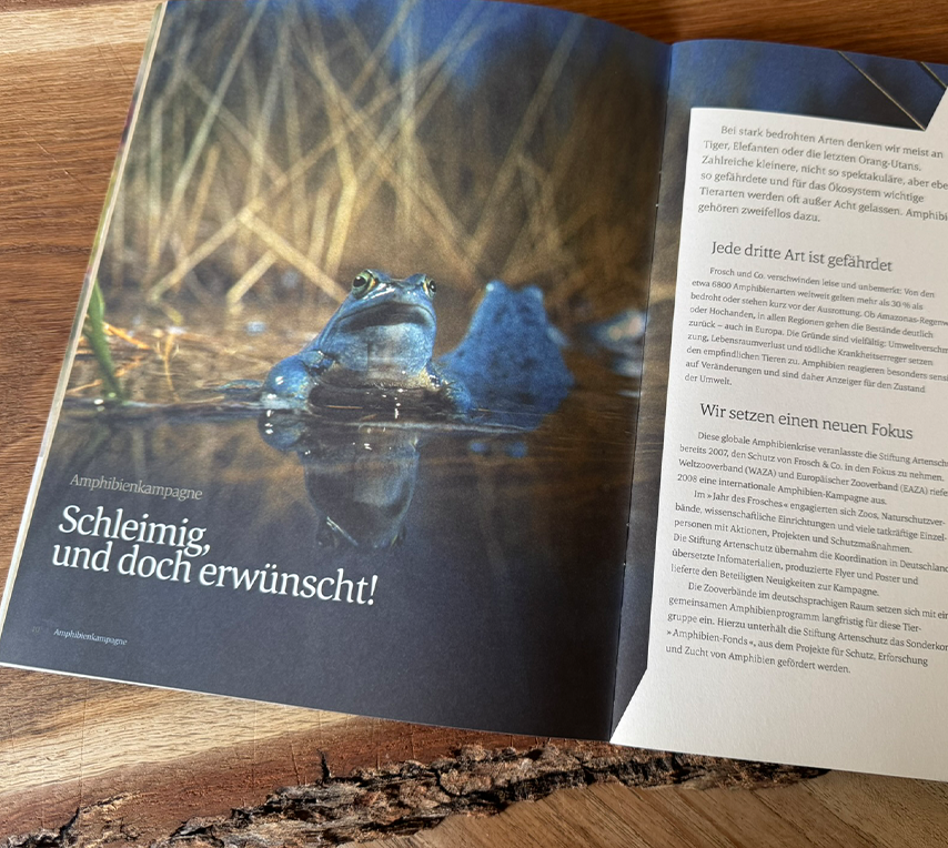Stiftung Artenschutz – Print